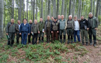 Одржана обука „Прореде у буковим шумама – ефекат на прираст и производност састојина“ у оквиру реализације годишњег програма стручног усавршавања